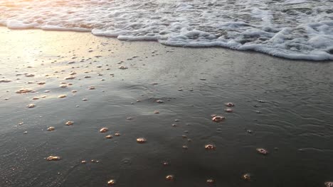 Meerwasser-Verschluckt-Fußabdrücke.-Sonnenuntergangsfarben
