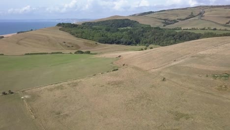 Wide-aerial-tracking-forward-towards-the-hill-with-St-Catherines-Chapel-on-top,-and-the-subtropical-forest,-both-near-Abbotsbury
