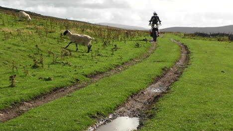 Motorcycle-and-rider-travelling-across-country-on-a-public-byway-in-the-Mallerstang-valley-Cumbria