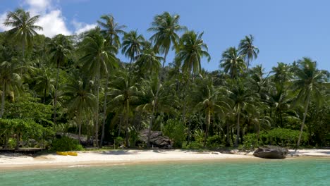 White-sandy-beach-with-coconut-palm-trees