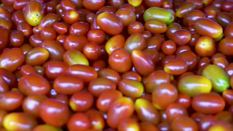 Pear-tomatoes-for-sale-at-the-free-fair,-panoramic-plan