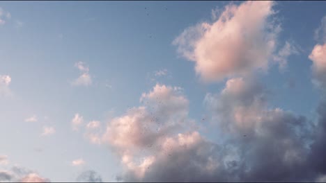 Pájaros-Volando-En-Un-Cielo-Azul-Brillante-Al-Atardecer-Lleno-De-Nubes-Hinchadas