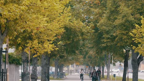 Menschen,-Die-Im-Herbst-Mit-Dem-Fahrrad-Zur-Arbeit-Fahren,-Mit-Blättern-Im-Hintergrund-In-Schweden