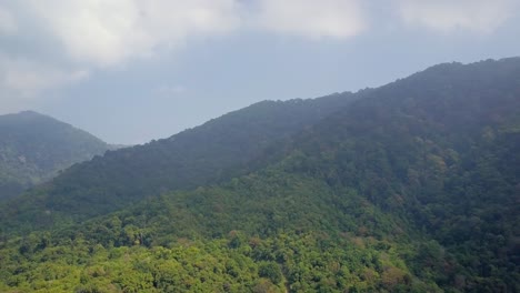 Luftaufnahme-Einer-üppigen-Grünen-Landschaft-In-Thailand-–-Kameraführung-Und-Leichtes-Schwenken-Nach-Links