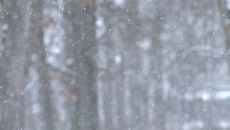 Schneefall-In-Zeitlupe-Mit-120-Bildern-Pro-Sekunde-Auf-Der-Sony-A7SII-Aufgenommen