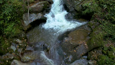 Detail-of-a-crystalline-stream-running-through-the-green-forest-at-Bistriski-Vintgar-Slovenia