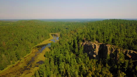 Beautiful-4K-aerial-shot-over-a-pine-forest-and-swampy-river