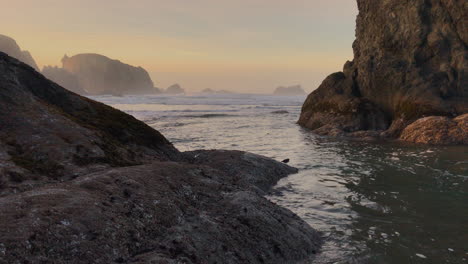 Little-bird-playing-in-the-water-during-sunset-at-the-Oregon-Coast,-in-between-large-sea-stacks-at-the-beach