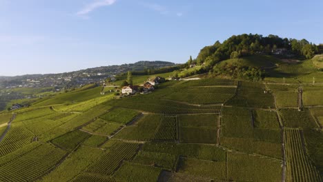 Aerial-shot-passing-in-near-typical-vineyard-houses,-Lavaux-vineyard-during-harvest-season-Le-Daley,-Lavaux---Switzerland