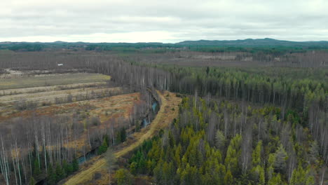 Aerial,-drone-shot,-around-a-river,-surrounded-by-leafless,-autumn-forest-and-fields,-on-a-cold,-cloudy,-fall-day,-in-Juuka,-Pohjois-Karjala,-Finland