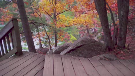Upward-rising-shot-of-a-triangular-section-of-a-boardwalk-before-a-huge-lake-with-lots-of-autumn-colours
