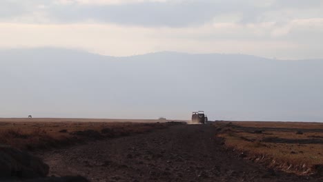 Land-Cruisers-Driving-Into-Distance-on-Ngorongoro-Safari-in-Tanzania