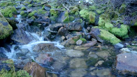 Tranquilo-Arroyo-De-Montaña-Que-Fluye-Sobre-Rocas-Cubiertas-De-Musgo-En-Una-Mañana-Fría