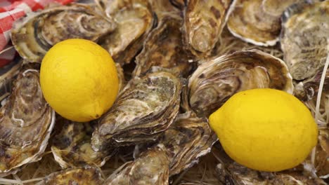 SLOWMO---Fresh-Oysters-and-lemon-on-table-at-food-festival---Close-Up