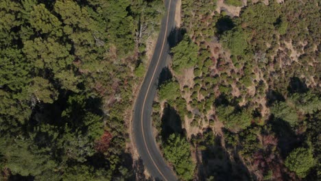 Folgende-Nebenstraße-Durch-Die-Berkeley-Hills-Luftaufnahme-Mit-Blick-Nach-Unten,-Nordkalifornien