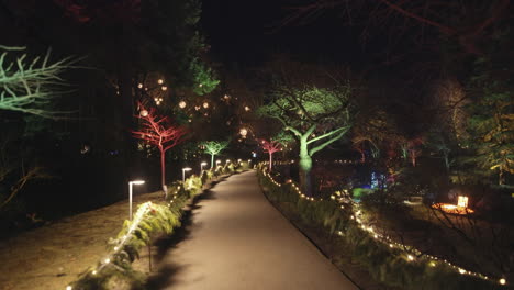 Wide-shot-of-a-Garden-Pathway-surrounded-by-trees-decorated-with-Christmas-lights,-Night