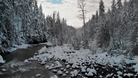 slow-rise-winter-forest-creek