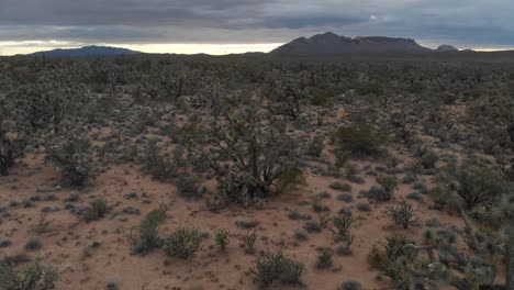 Slow-aerial-hover-backwards-over-a-dramatic-desert-landscape-and-impending-storm