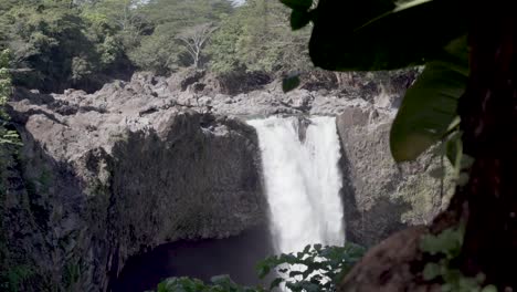 Large-amounts-of-water-flowing-over-the-top-of-Rainbow-Falls-with-a-tropical-tree-in-the-foreground