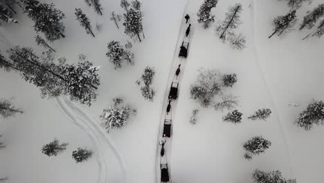 Drone-view-of-reindeer-sleighride-in-Saariselka,-Lapland,-Finland