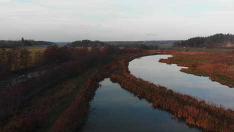 Ascending-drone-footage-over-wetland-covered-with-reeds