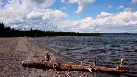 Ein-Ast-Oder-Ein-Stück-Totes-Holz,-Das-Auf-Dem-Sand-In-Der-Nähe-Des-Ufers-Des-Yellowstone-Sees-Liegt