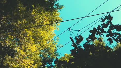 Woman-enjoying-a-thrill-ride-with-zip-wires-through-the-forest-in-Signal-De-Bougy-Parc-Adventure,-slow-motion-footage