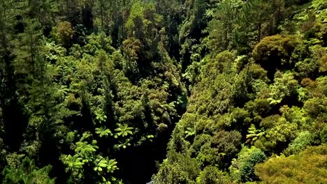 Un-Hermoso-Río-Cristalino-De-Agua-De-Manantial-Natural-Que-Fluye-A-Través-De-Las-Montañas-De-Nueva-Zelanda
