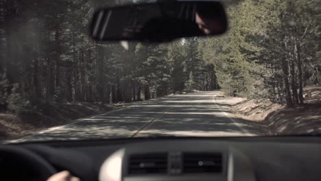 Inside-back-seat-of-car-travelling-down-long-sunny-road-in-Yosemite-National-Park