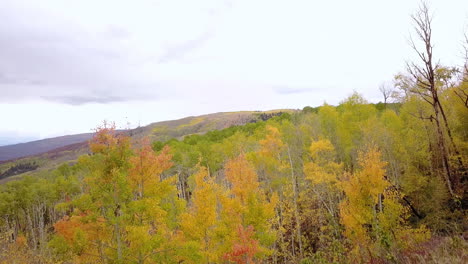Grand-Mesa-Mit-Blick-Auf-Grand-Valley,-Colorado,-Herbstfarben,-Immergrüne-Espen