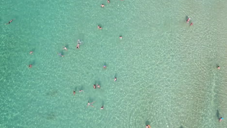 Aerial-footage-of-people-bathing-at-a-shallow-sandy-beach