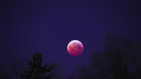 Timelapse-of-super-blood-wolf-moon,-shot-in-January-21st-of-2019-in-Finland