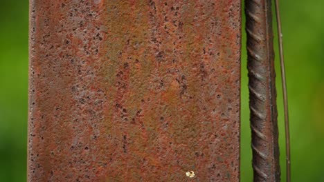 Nahaufnahme-Von-Rostiger-Textur,-Eisensäule-Mit-Draht-Und-Metallbewehrung,-Flacher-Fokus-Vor-Grünem-Hintergrund