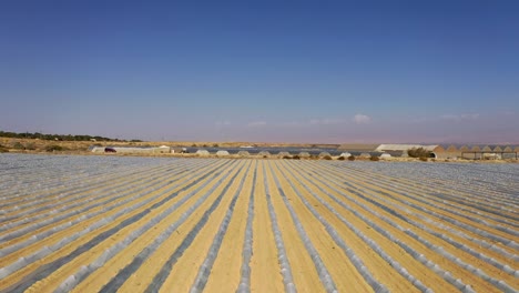 Flying-over-large-plant-field-under-small-protective-plastic-greenhouses,-straight-lines-desert-field,-drone-forward-shot