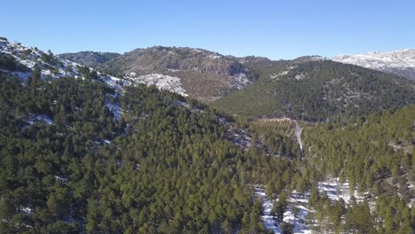 Aerial-view-of-snowed-hills-full-of-pines-with-a-road-in-the-middle-in-the-south-of-Spain