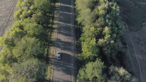 AERIAL-Car-Tracking-and-Car-Passing-Following-a-Tree-Line-Green-Trees-and-Green-Field