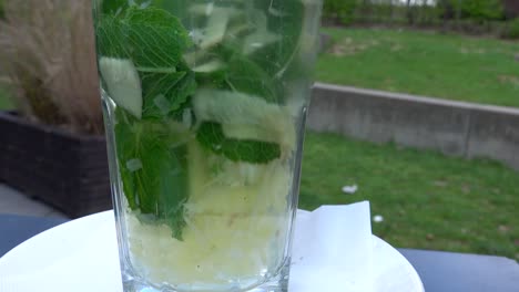 Fresh-herbal-tea-with-mint-and-ginger-pieces