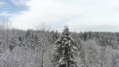 Ariel-footage-of-snow-covered-landscapes