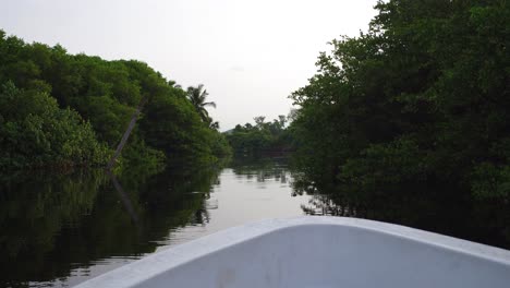 POV-Aufnahme-Von-Einem-Kleinen-Boot-Aus-Auf-Einem-Fluss-In-Der-Mangrove-La-Ventanilla,-Oaxaca
