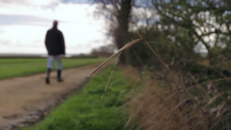 Footage-of-grass-blowing-in-the-wind,-then-a-man-appearing-walking-away-from-the-camera,-this-is-set-in-the-countryside