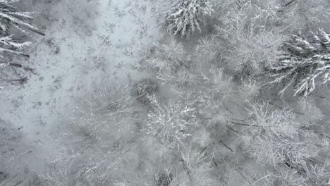 Ariel-Aufnahmen-Von-Schneebedeckten-Landschaften