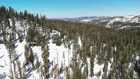Aerial-fly-over-of-snow-covered-mountains-and-trees-in-national-park
