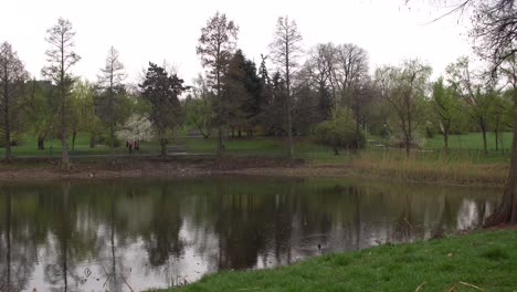 Static-Beautiful-Spring-Landscape-Footage-On-A-Rainy-Day---Time-lapse