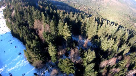 Luftaufnahme:-über-Dem-Wald-In-Rumänien