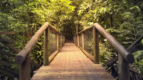Beautiful-scene-with-a-suspension-wooden-bridge-across-the-rainforest-amazon-jungle,-Brazil