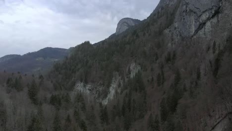 Flug-über-Alpine-Bergwälder