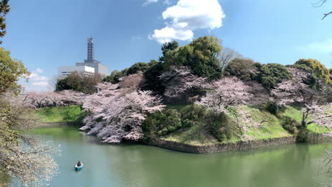Ein-Panorama-Mit-Kirschblüten-Und-Ruderbooten-Am-Wassergraben-Des-Chidorigafuchi-Parks