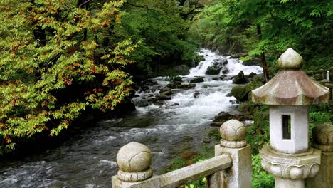 Calming-mountain-stream-in-South-Korea