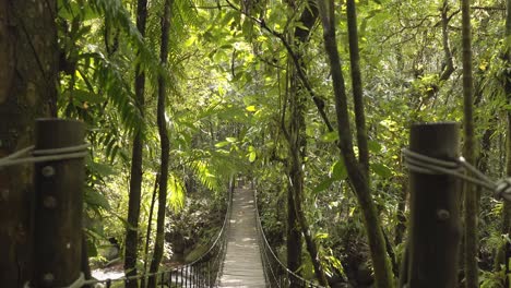Suspension-wooden-bridge-across-a-stream-in-the-rainforest-amazon-jungle,-Brazil