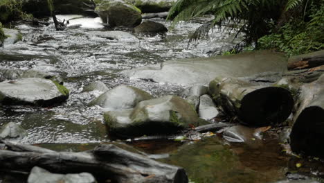 River-flowing-though-smooth-black-rocks-in-the-middle-of-a-rain-forest